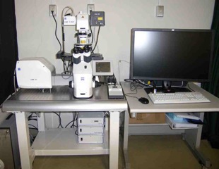 共焦点レーザースキャン顕微鏡　LSM700（Zeiss）　3F