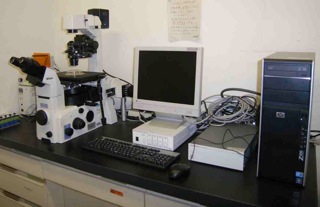 倒立蛍光顕微鏡　高感度CCDカメラ